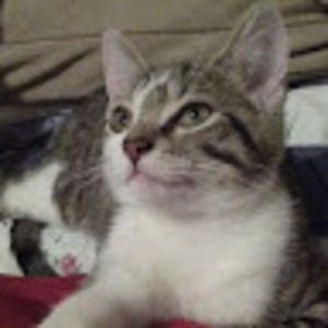 Meet your Posher, Katelynn